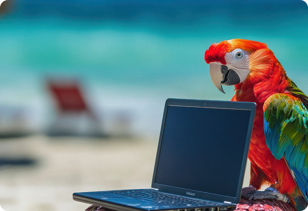 Parrot on a beach with a laptop